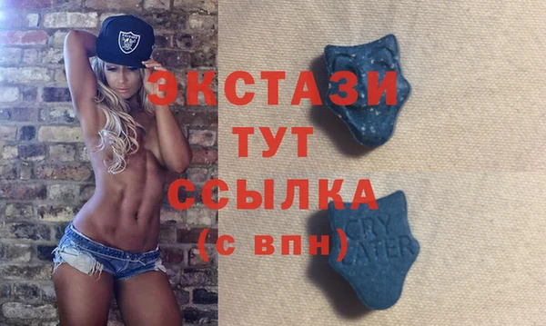 гидра Арсеньев