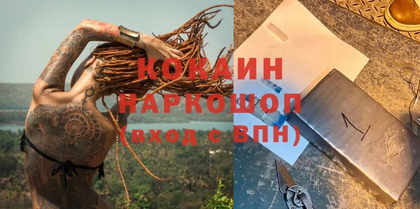 гидра Арсеньев