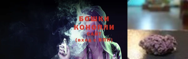 гидра Арсеньев