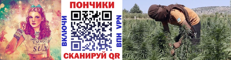 Купить  Котовск  МАРИХУАНА планчик 